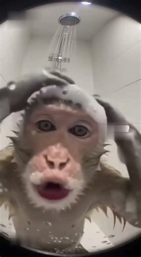 20260319 1619 01km33vcs3e7ws1teaqza3rmpq online video cutter com 3