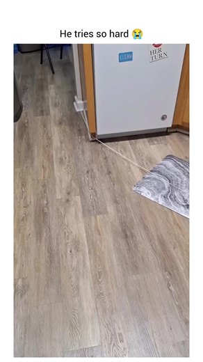 Zero Thoughts, Just Vibes