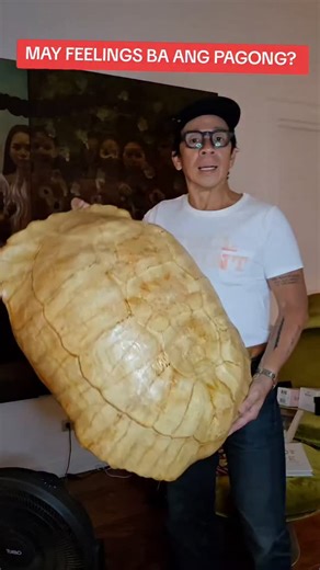 Kuya Kim on Instagram: "Do turtle shells have feelings? Turtle shells have nerves and are living parts of the turtle's body, connected to its spine and ribs, meaning they can feel touch, pressure, and pain, much like a human feels a broken bone. While the hard outer scutes (like fingernails) aren't sensitive, the underlying bone and tissue are full of nerve endings, making injuries painful and requiring gentle handling"