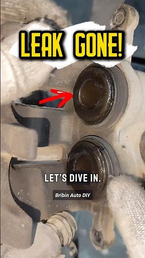 Brake Leak? FIX IT NOW! #car #mechanic