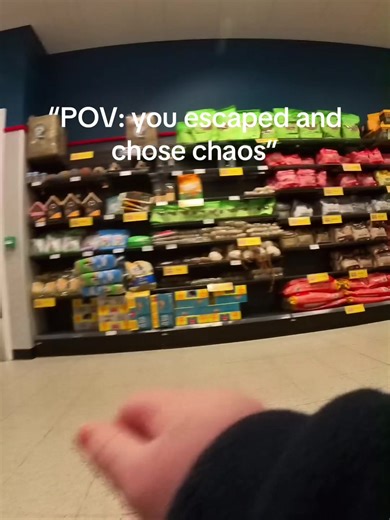 Toddler POV: The Chaotic Joy of Birdseed Discovery