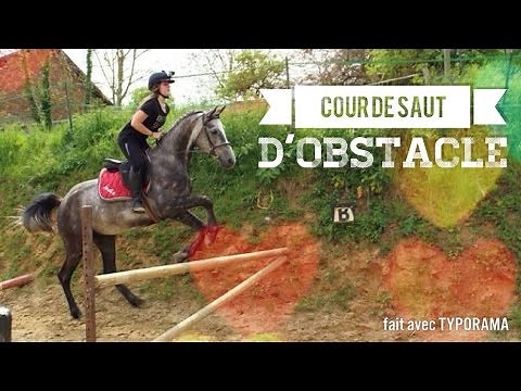 Cour de saut d'obstacle sans direction / jeune chevaux (Gopro)