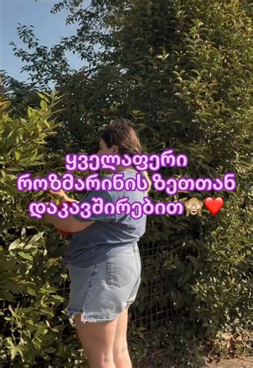 როზმარინის ზეთი — რატომ ღირს 15₾ და როგორ შეიძინოთ