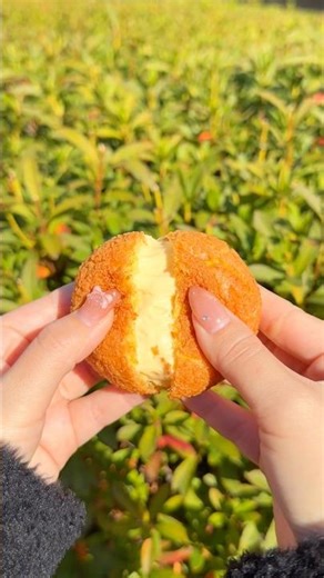 [Fukuoka | Kasuga City] A newly opened sweets specialty store 😋🍮 #Fukuoka #FukuokaGourmet #Kasuga...