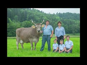 Jahresrückblick Braunvieh Schweiz 2019