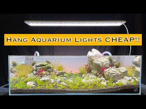 Hanging Aquarium Lights! DIY Tip! SUPER EASY AND CHEAP!