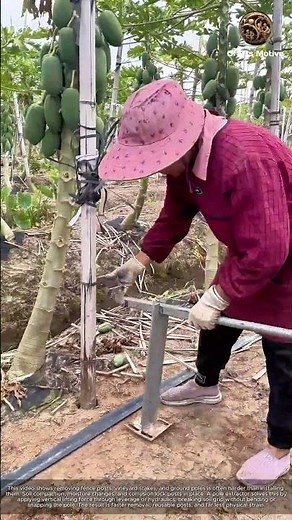 Genius Farm Tool Effortlessly Pulling Stakes and Poles from the Ground: The Ultimate Pole Extractor