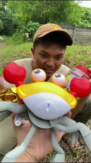 Hypnosis Crab Toy