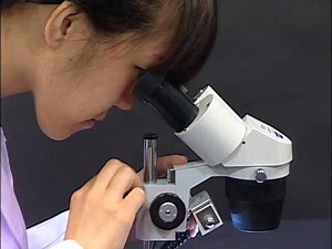 105【ケニス】双眼実体顕微鏡を使ってみよう