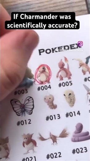 Drawing Charmander is a scientifically accurate animal. Drawn using Procreate. #realisticpokemon