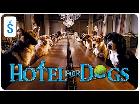 Hotel for Dogs (2009) | Scene: The hotel is in chaos