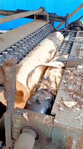 Industrial Log Debarking Machine Removing Bark from a Large Tree Trunk