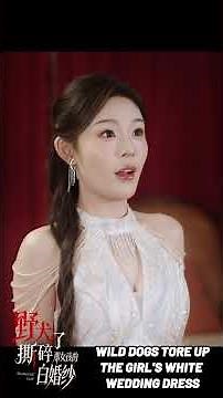 WILD DOGS TORE UP THE GIRL'S WHITE WEDDING DRESS​ 💃 Trailer 🚨 A manhunt for the missing bride