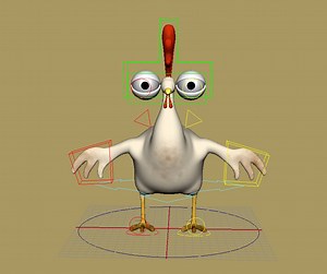 Chicken Rig Test - Sakir Cataltepe
