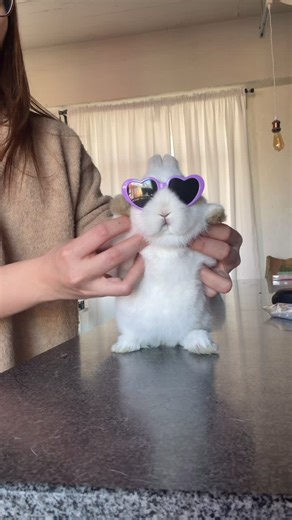 Hello Saturday 💃 #bunnydayoff #dance | dance