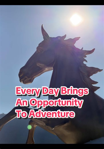 A pirate ship. Soaking wet on a water ride. A gondola 1,000 feet above the forest floor. Panoramic views that make you pause. • Today, we explore Sun Moon Lake, Taiwan and beyond. • These are just glimpses—teaser moments. Full stories coming soon. If you’re drawn to real adventures, unexpected experiences, and seeing the world beyond the obvious… you’re in the right place. • #taiwan🇹🇼 #traveltiktok #exploremore #bucketlisttravel #adventure