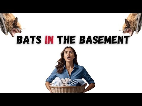 Explained! Why Most Bats Show Up In Basements First.