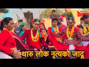पश्चिम दाङको असली थारु नाच | Traditional Tharu Dance from Western Dang, Nepal 🇳🇵🔥
