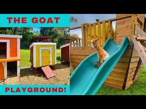 Noah's Ark GOAT Playground/House