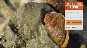Texas Parks and Wildlife warns against zebra mussels