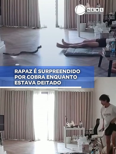 Um jovem foi surpreendido por uma cobra enquanto descansava na sala de casa. Segundo relatos, ele teria deixado a porta aberta, o que permitiu a entrada do animal. Apesar do susto, a serpente não era venenosa. Tratava-se de uma cobra-rato, espécie de médio a grande porte que se alimenta principalmente de roedores, aves e ovos e desempenha papel importante no controle de pragas. O caso aconteceu na Tailândia. 📲 #RecordNews