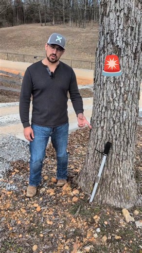 🛡️ 🚨 The one thing they didn't see coming