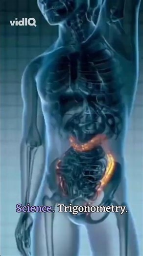 Unraveling the Science of Being Transgender