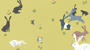 Bring evolution to life in this stunning picture book, 'On the Origin of Species' – re-telling Charles Darwin's work to the younger generation. It's perfect for inquisitive minds this Easter. | Puffin Books