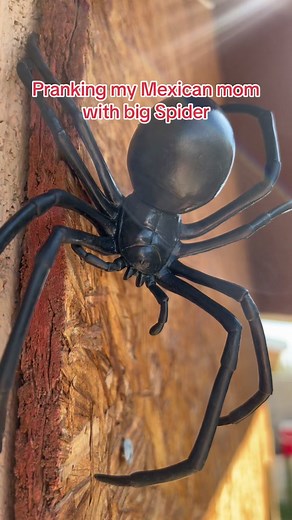 Pranking Mexican Mom with Giant Spider Reaction