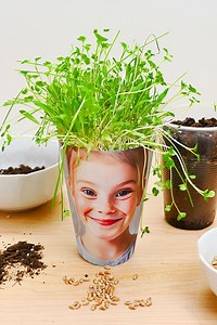 25K views · 143 reactions |  Warning: Extreme hair transformations ahead! With these Silly Grass Heads, just pop a photo of your kid’s face in a clear cup, add soil and grass seeds, and watch them sprout the funniest green hair ever. https://onelittleproject.com/grass-hair-planters/ | One Little Project | Facebook