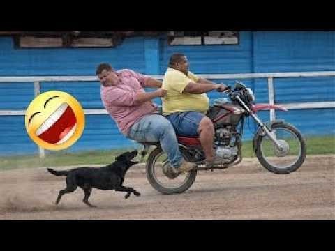 Funniest Fails From Around the World 🌍😂With Priceless Life Lessons