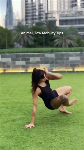 Animal Flow For Street Fitness: No Equipment! 🦾🔥