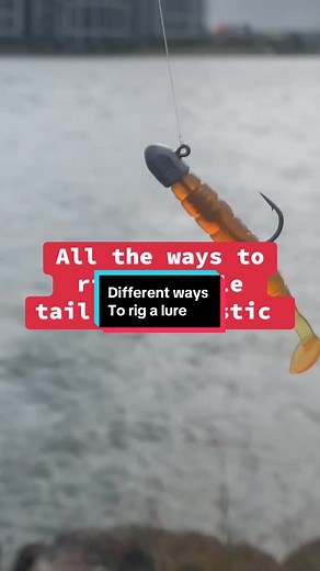 I'm breaking down three ways to set up your soft plastic paddle tails for ultimate versatility on the water. the most common way is the Classic Jig Head, The go to for many anglers, the traditional jig head with the weight on the front that delivers perfect balance for an enticing vertical drop. The hidden weight system jig head ensures a natural, horizontal descent, and it's the silent approach you need around pontoons. No more loud bangs against the sides just smooth, stealthy action. have the