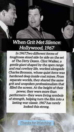‎When Grit Met Silence: Hollywood, 1967 #shorts #shortsvideo #actor #news