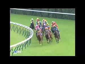 2015.11.22 Mile Championship (JPN) - Maurice