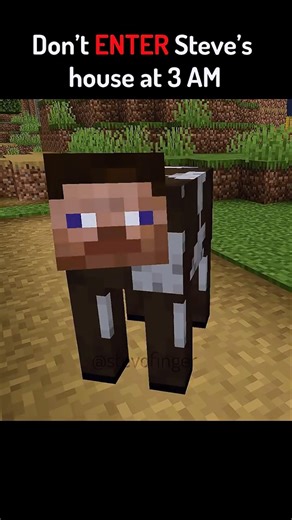 DON’T ENTER STEVE'S HOUSE AT 3AM #shorts