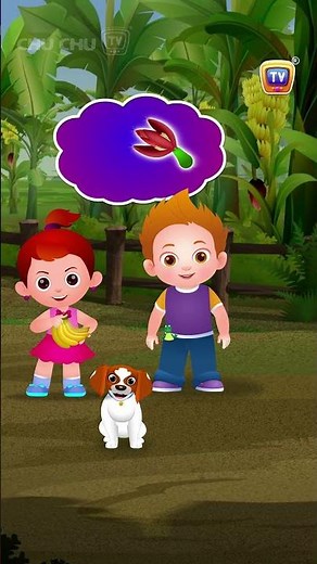 Banana Song #Shorts #ChuChuTV #NurseryRhymes #KidsSongs #learningsongs #fruits #ChuChuTV100M
