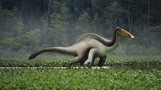 How a single fossil sparked one of paleontology’s greatest mysteries