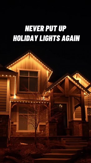 JellyFish Lighting: Year-Round Holiday and Security Lighting