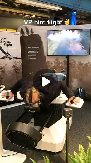 Worldgamingsetup | Imagine flying in real life as you explore VR with flying birds 😭🤩 #Vr #fly #gaming | Instagram