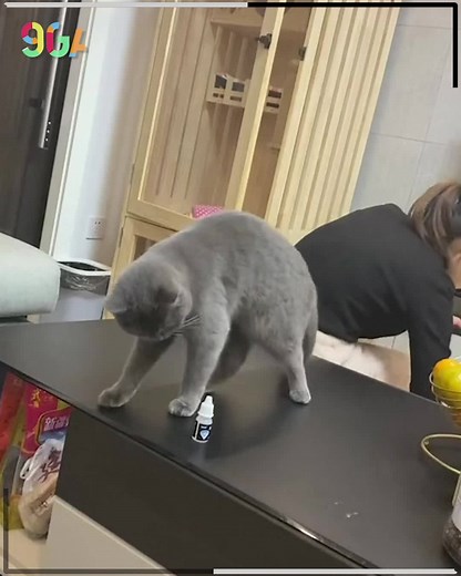 2.8M views · 108K reactions | On second thought... | 9GAG | Facebook