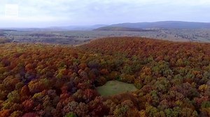 Have you ever seen a breathing forest before? We haven't either... Watch the series premiere of Weird Earth TONIGHT at 9/8c! | The Weather Channel Originals