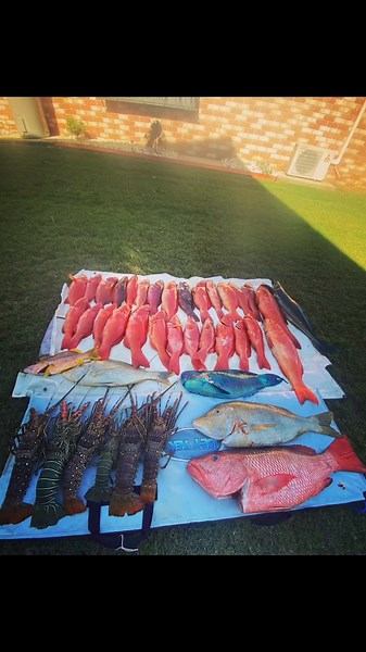 Fitzroy reef producing the goods 🎣 #fyp #fishing #1770 #fitzroy