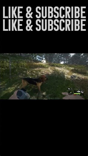 Insane Red Deer Hunt Experience