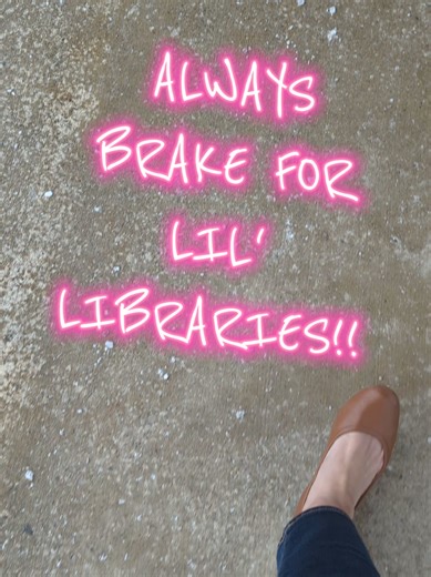 I will always brake or turn around for a cute little library!! #minilibrary #littlelibrary #freelibrary #librarytiktok #booknook