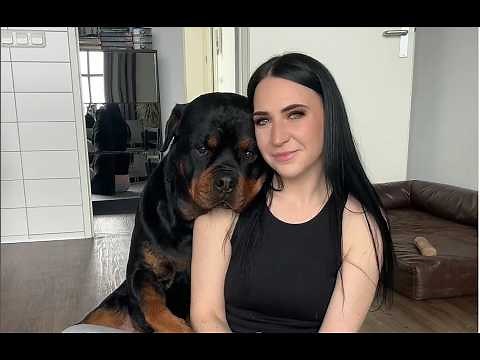 Living with MULTIPLE Rottweilers at Home What's It REALLY Like!