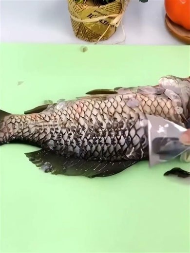 Fish Scale Scraper: Reusable & Rustproof #KitchenGadgets #SeafoodTool #StainlessSteel