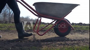 farmer girl red neck works in dirt the field with a garden trolley in rubber boots. farmer eco farming farming harvesting concept. woman wheels a garden cart wheelbarrow across a field with black dirt