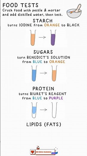 Understanding Food Tests for Cape & CSEC BIOLOGY Episode 1