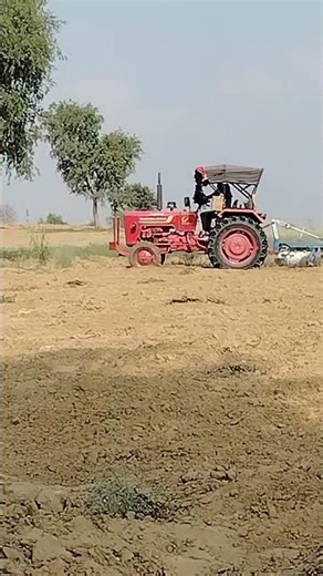 tara meera sarsu bijan #biography